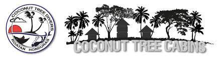 Coconut Tree West End Hotel Bagian luar foto